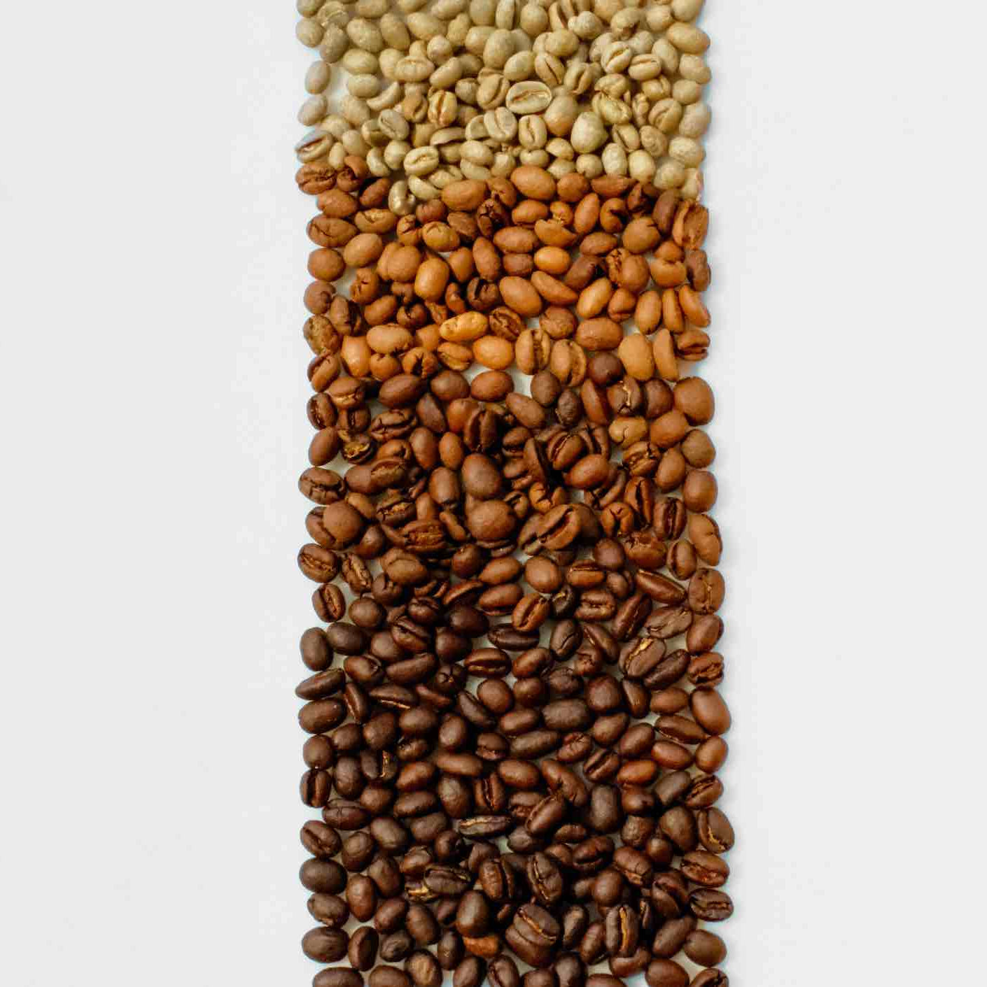 % Arabica Roast Discovery Box