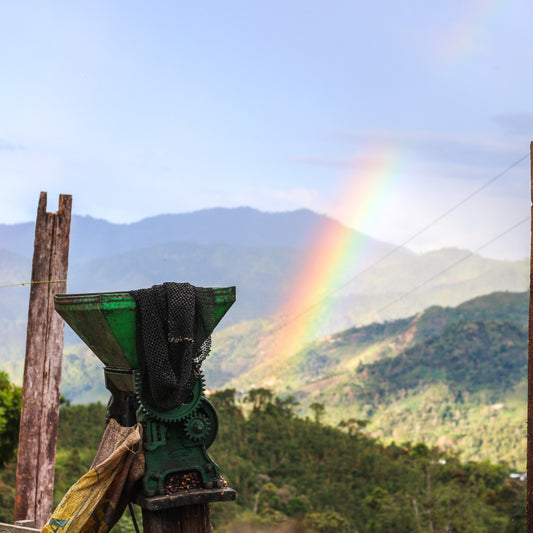 % Peru - Cajamarca - Women Lima Coffee Producers